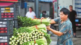 暢通物流守好“菜籃子”安全