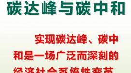 做好科技支撐“雙碳”工作 科技部等九部門印發(fā)最新...